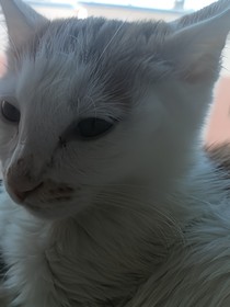 生日快乐，张琴奕