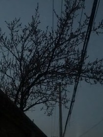 穿成小說男二之男主好像有點(diǎn)奇怪