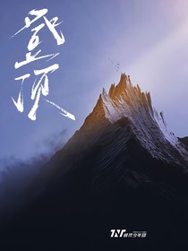 我的畜谋已久，他的直情径行