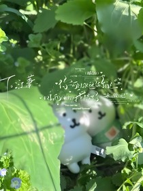 STAR：愿渡