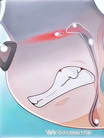 浮生未白首，曲終人已散