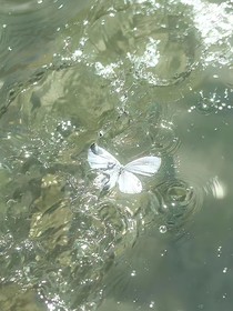 酒精后遺癥