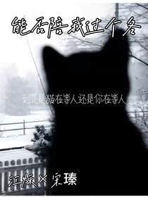 能否陪我过个冬天