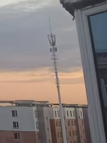 风过林