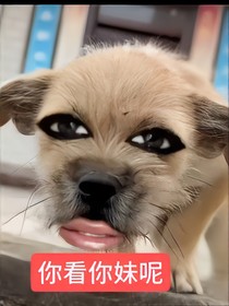 难道我不是亲生的