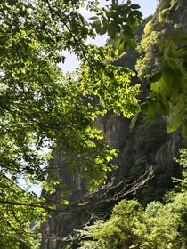 我去春天里