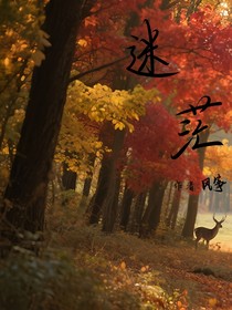 迷茫的前行