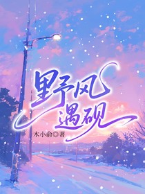 野风遇砚
