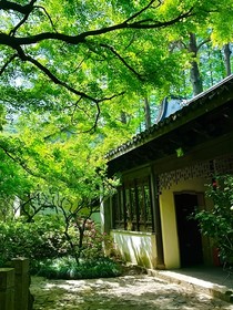 各种随笔合集