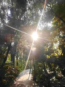 暗恋视角的下的自己