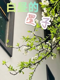 白晝的星子