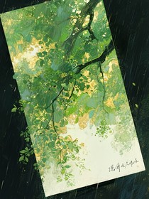 玄都年纪
