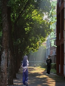 回忆拉回盛夏