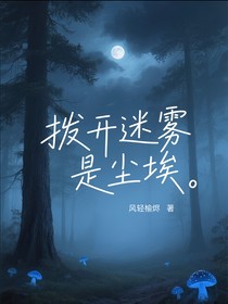 拨开迷雾是尘埃（ch）