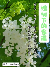 槐树下的余温