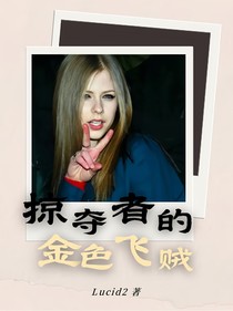掠夺者的金色飞贼