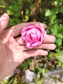 三生茧