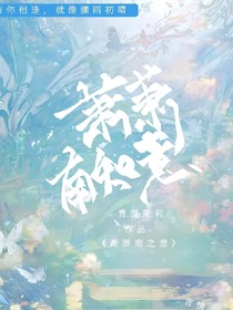 潇潇南之意