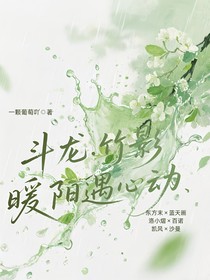 斗龙之竹影暖阳遇心动