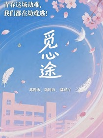 觅心途