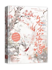 一念关山：朱衣落雪