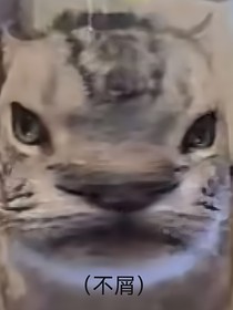 凹凸：团厌玛丽苏就不必了吧