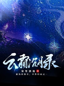 云霜沉月录