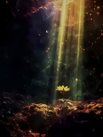 溺亡星光