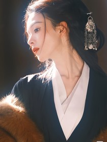 綜影視：鴻是江邊鳥
