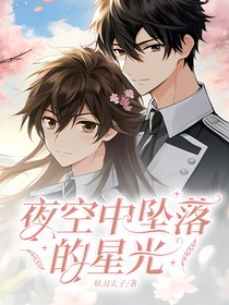夜空墜落的星光