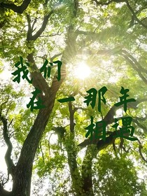 我们在那一年相遇