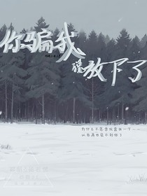 你骗我说放下了