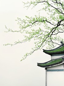 木慕