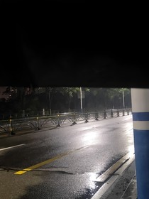 尽忠的日记