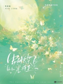 蝴蝶飞，光将至