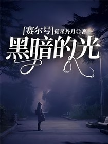 赛尔号：黑暗的光