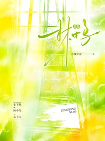 忍龟：林中鸟