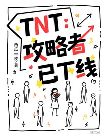 TNT：攻略者已下线