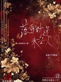 落雪時逢未盳人