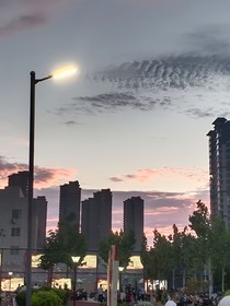 特种兵学校—京海之战