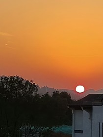 地上之疯癫天才