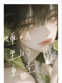 蝉鸣里的重逢