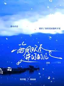 海风吹不进你的心