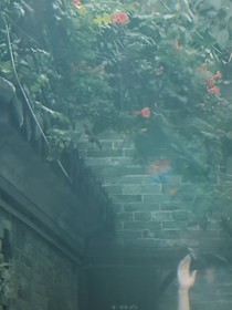 综影视凌霄高处不畏寒
