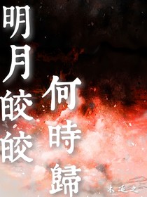 明月皎皎何时归