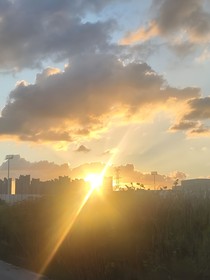 1709号听众