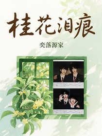 桂花泪痕