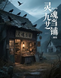 查理九世再次出发