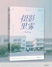 镜头里的雾