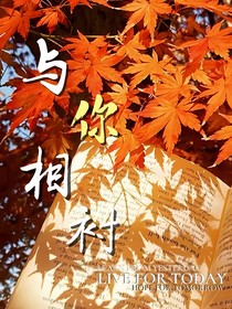 与你相衬